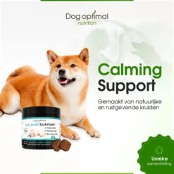 RUST EN KALMEREN CALMING Support 120 Stuks - Kalmeren - AntistressmiddelHond - Hond - Hondenkoekjes - Hondensupplementen - Honden - Puppy - Hondenvoeding -Huisdierbenodigdheden 1200x1200 269