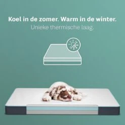 CozySense® - Orthopedisch Hondenkussen - Hondenkussen 100 X 70 Cm - Geschikt Als Benchkussen & Hondenbed - Hondenkussen Bank - Traagschuim - Waterdicht - Wasbare Hoes - Maat XL -Huisdierbenodigdheden 1200x1200 274