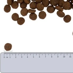 Vetality Hypoallergenic Hondenvoer - 10 Kg -Huisdierbenodigdheden 1200x1200 298