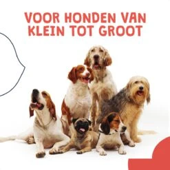 JC Pets Ultrasone Anti Blaf Apparaat Voor Kleine En Grote Honden - Oplaadbaar - Alternatief Anti Blafband Voor Honden - Diervriendelijk & Zonder Schok 18 JC Pets Ultrasone Anti Blaf Apparaat Voor Kleine En Grote Honden - Oplaadbaar - Alternatief Anti Blafband Voor Honden - Diervriendelijk & Zonder Schok -Huisdierbenodigdheden 1200x1200 309