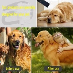 Hondenfohn - Waterblazer Met Draaiknop - 2400W Vermogen Met Warme En Koude Stand - Wit -Huisdierbenodigdheden 1200x1200 315