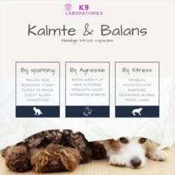 K9 Laboratories Kalmte & Balans - Hond - 60 Stuks - Bij Stress, Angst En Agressie - Ashwagandha - L-tryptofaan - Passiebloem - Valeriaanwortel - Lavendel 13 K9 Laboratories Kalmte & Balans - Hond - 60 Stuks - Bij Stress, Angst En Agressie - Ashwagandha - L-tryptofaan - Passiebloem - Valeriaanwortel - Lavendel -Huisdierbenodigdheden 1200x1200 320