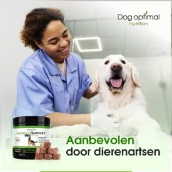 DOG OPTIMAL Gewricht Supplement 120 Stuks - Mobility - Glucosamine Hond - Artrose - Heupdysplasie - Gewrichten - Hondensnacks - Hondenkoekjes - Hondensupplementen - Honden - Puppy - Hondenvoeding 12 DOG OPTIMAL Gewricht Supplement 120 Stuks - Mobility - Glucosamine Hond - Artrose - Heupdysplasie - Gewrichten - Hondensnacks - Hondenkoekjes - Hondensupplementen - Honden - Puppy - Hondenvoeding -Huisdierbenodigdheden 1200x1200 324