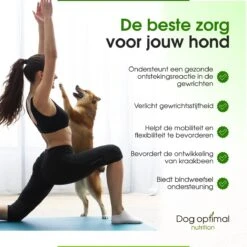 DOG OPTIMAL Gewricht Supplement 120 Stuks - Mobility - Glucosamine Hond - Artrose - Heupdysplasie - Gewrichten - Hondensnacks - Hondenkoekjes - Hondensupplementen - Honden - Puppy - Hondenvoeding 14 DOG OPTIMAL Gewricht Supplement 120 Stuks - Mobility - Glucosamine Hond - Artrose - Heupdysplasie - Gewrichten - Hondensnacks - Hondenkoekjes - Hondensupplementen - Honden - Puppy - Hondenvoeding -Huisdierbenodigdheden 1200x1200 326