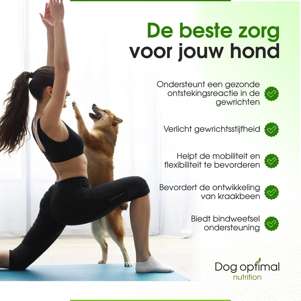 DOG OPTIMAL Gewricht Supplement 120 Stuks - Mobility - Glucosamine Hond - Artrose - Heupdysplasie - Gewrichten - Hondensnacks - Hondenkoekjes - Hondensupplementen - Honden - Puppy - Hondenvoeding 7 DOG OPTIMAL Gewricht Supplement 120 Stuks - Mobility - Glucosamine Hond - Artrose - Heupdysplasie - Gewrichten - Hondensnacks - Hondenkoekjes - Hondensupplementen - Honden - Puppy - Hondenvoeding - Afbeelding 5