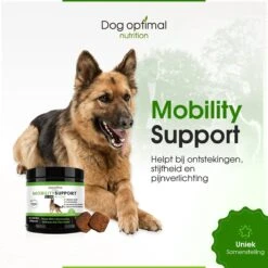 DOG OPTIMAL Gewricht Supplement 120 Stuks - Mobility - Glucosamine Hond - Artrose - Heupdysplasie - Gewrichten - Hondensnacks - Hondenkoekjes - Hondensupplementen - Honden - Puppy - Hondenvoeding 15 DOG OPTIMAL Gewricht Supplement 120 Stuks - Mobility - Glucosamine Hond - Artrose - Heupdysplasie - Gewrichten - Hondensnacks - Hondenkoekjes - Hondensupplementen - Honden - Puppy - Hondenvoeding -Huisdierbenodigdheden 1200x1200 327