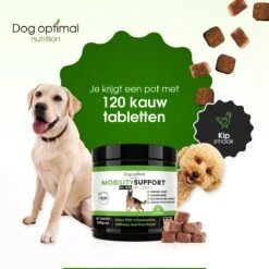 DOG OPTIMAL Gewricht Supplement 120 Stuks - Mobility - Glucosamine Hond - Artrose - Heupdysplasie - Gewrichten - Hondensnacks - Hondenkoekjes - Hondensupplementen - Honden - Puppy - Hondenvoeding 17 DOG OPTIMAL Gewricht Supplement 120 Stuks - Mobility - Glucosamine Hond - Artrose - Heupdysplasie - Gewrichten - Hondensnacks - Hondenkoekjes - Hondensupplementen - Honden - Puppy - Hondenvoeding -Huisdierbenodigdheden 1200x1200 329