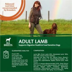Wellness Core Grain Free Dog Adult Lam - Hondenvoer - 10 Kg 11 Wellness Core Grain Free Dog Adult Lam - Hondenvoer - 10 Kg -Huisdierbenodigdheden 1200x1200 330