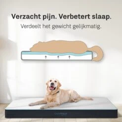 CozySense® - Orthopedisch Hondenkussen - Hondenkussen 90 X 55 Cm - Ook Geschikt Als Benchkussen & Hondenbed - Hondenkussen Bank - Traagschuim - Waterdicht - Wasbare Hoes - Maat L 12 CozySense® - Orthopedisch Hondenkussen - Hondenkussen 90 X 55 Cm - Ook Geschikt Als Benchkussen & Hondenbed - Hondenkussen Bank - Traagschuim - Waterdicht - Wasbare Hoes - Maat L -Huisdierbenodigdheden 1200x1200 332
