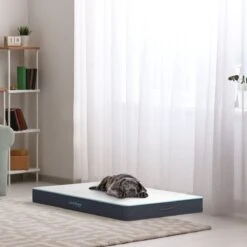 CozySense® - Orthopedisch Hondenkussen - Hondenkussen 90 X 55 Cm - Ook Geschikt Als Benchkussen & Hondenbed - Hondenkussen Bank - Traagschuim - Waterdicht - Wasbare Hoes - Maat L 15 CozySense® - Orthopedisch Hondenkussen - Hondenkussen 90 X 55 Cm - Ook Geschikt Als Benchkussen & Hondenbed - Hondenkussen Bank - Traagschuim - Waterdicht - Wasbare Hoes - Maat L -Huisdierbenodigdheden 1200x1200 335