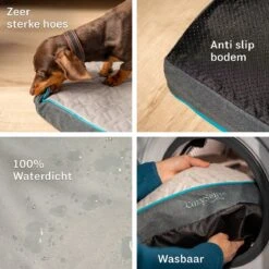 CozySense® - Orthopedisch Hondenkussen - Hondenkussen 90 X 55 Cm - Ook Geschikt Als Benchkussen & Hondenbed - Hondenkussen Bank - Traagschuim - Waterdicht - Wasbare Hoes - Maat L 16 CozySense® - Orthopedisch Hondenkussen - Hondenkussen 90 X 55 Cm - Ook Geschikt Als Benchkussen & Hondenbed - Hondenkussen Bank - Traagschuim - Waterdicht - Wasbare Hoes - Maat L -Huisdierbenodigdheden 1200x1200 336