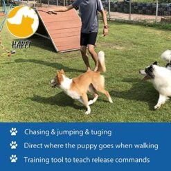 CF Pack - Hond Buitenspeelgoed Actief Behendigheid Touw Dog Flirt Pole Flirtpole Toy Tug Tease Wand Non-Bungee Cord Dog Toy For Fun Obedience Training Extandable Toy Honden Speelgoed Hondenspeelgoed Behendigheidspeelgoed -Huisdierbenodigdheden 1200x1200 344