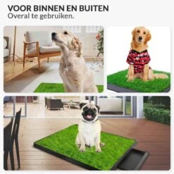 Merkloos Hondentoilet Kunstgras Met Bak - Indoor Dierentoilet - Uitneembare Opvangbak - Puppy Training Pets - Outdoor/Balkon/Tuin/Indoor Toilet - 50x64 Cm 17 Merkloos Hondentoilet Kunstgras Met Bak - Indoor Dierentoilet - Uitneembare Opvangbak - Puppy Training Pets - Outdoor/Balkon/Tuin/Indoor Toilet - 50x64 Cm -Huisdierbenodigdheden 1200x1200 350