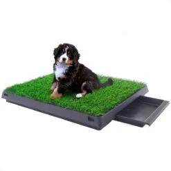 Merkloos Hondentoilet Kunstgras Met Bak - Indoor Dierentoilet - Uitneembare Opvangbak - Puppy Training Pets - Outdoor/Balkon/Tuin/Indoor Toilet - 50x64 Cm 19 Merkloos Hondentoilet Kunstgras Met Bak - Indoor Dierentoilet - Uitneembare Opvangbak - Puppy Training Pets - Outdoor/Balkon/Tuin/Indoor Toilet - 50x64 Cm -Huisdierbenodigdheden 1200x1200 352