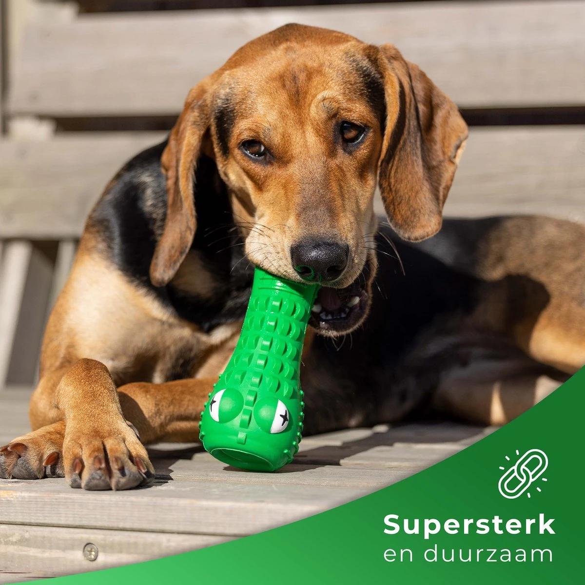 Tandenborstel Hond Melk Geur Smaak En Piep Honden Speelgoed Dog Toy - Krokodil Groen - Dutchwide 5 Tandenborstel Hond Melk Geur Smaak En Piep Honden Speelgoed Dog Toy - Krokodil Groen - Dutchwide - Afbeelding 3