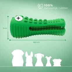 Tandenborstel Hond Melk Geur Smaak En Piep Honden Speelgoed Dog Toy - Krokodil Groen - Dutchwide 17 Tandenborstel Hond Melk Geur Smaak En Piep Honden Speelgoed Dog Toy - Krokodil Groen - Dutchwide -Huisdierbenodigdheden 1200x1200 358