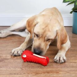 Tandenborstel Hond Melk Geur Smaak En Piep Honden Speelgoed Dog Toy - Krokodil Groen - Dutchwide 21 Tandenborstel Hond Melk Geur Smaak En Piep Honden Speelgoed Dog Toy - Krokodil Groen - Dutchwide -Huisdierbenodigdheden 1200x1200 359