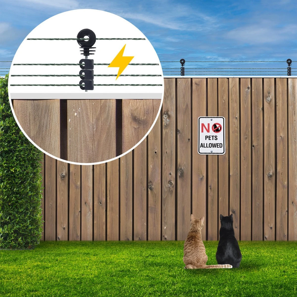 Katten Schrikdraad Set Voor Op De Schutting 7 Katten Schrikdraad Set Voor Op De Schutting - Afbeelding 5