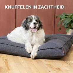 Snoozle Orthopedische Hondenmand - Zacht En Luxe Hondenkussen - Hondenbed - Wasbaar - Hondenmanden - 100 X 70 Cm - Groen 20 Snoozle Orthopedische Hondenmand - Zacht En Luxe Hondenkussen - Hondenbed - Wasbaar - Hondenmanden - 100 X 70 Cm - Groen -Huisdierbenodigdheden 1200x1200 370