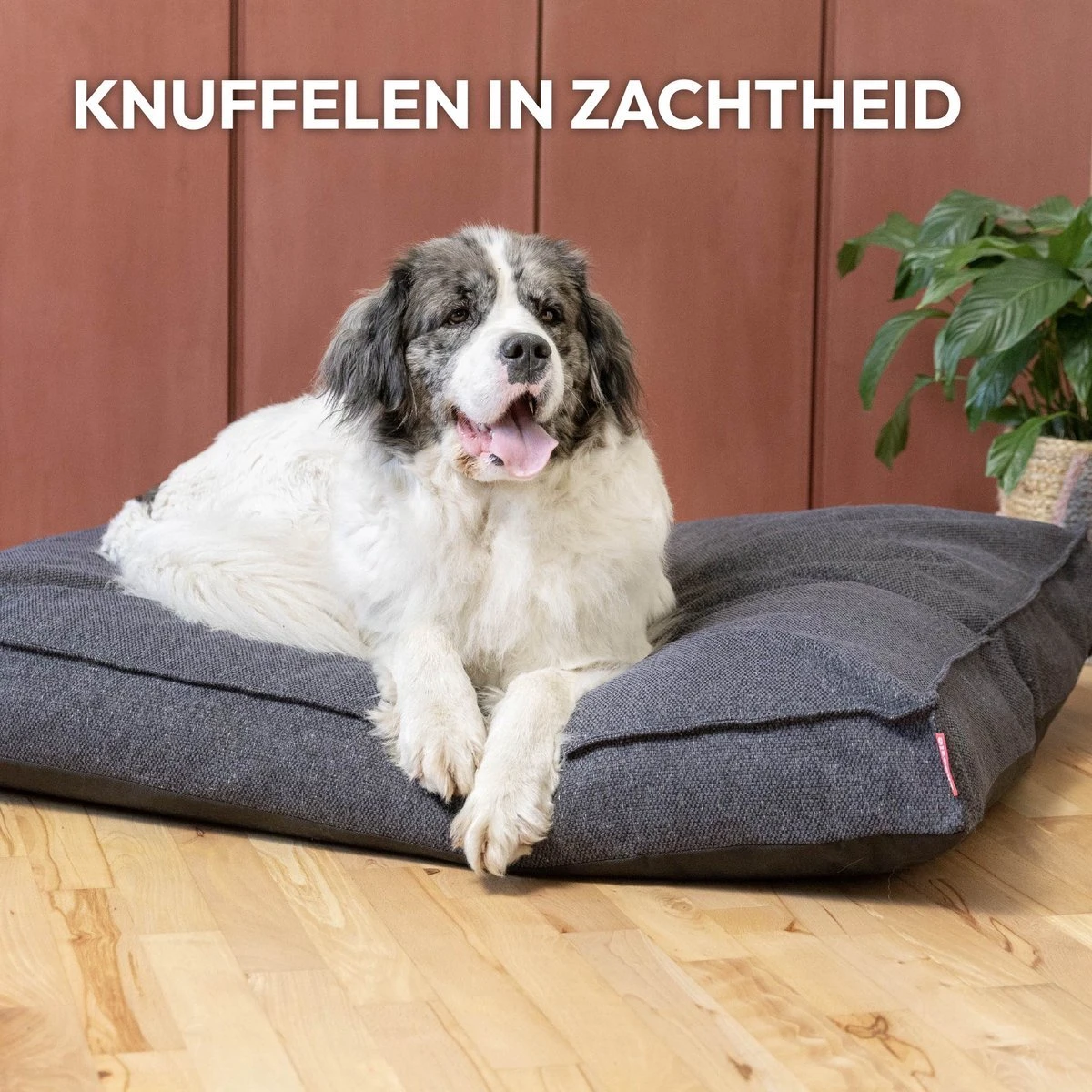 Snoozle Orthopedische Hondenmand - Zacht En Luxe Hondenkussen - Hondenbed - Wasbaar - Hondenmanden - 100 X 70 Cm - Groen 8 Snoozle Orthopedische Hondenmand - Zacht En Luxe Hondenkussen - Hondenbed - Wasbaar - Hondenmanden - 100 X 70 Cm - Groen - Afbeelding 6