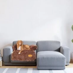 Origineel Hondendeken Voor Bank– Hondenkleed Fluffy – Pluche Hondenbed - Hondenmand Premium - Volledig Afritsbaar 13 Origineel Hondendeken Voor Bank– Hondenkleed Fluffy – Pluche Hondenbed - Hondenmand Premium - Volledig Afritsbaar -Huisdierbenodigdheden 1200x1200 413