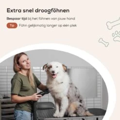 MiMOPETS® Hondenföhn Met 4 Opzetstukken – Waterblazer Voor Honden Met Geluiddemper -Hondendroger - Zwart 17 MiMOPETS® Hondenföhn Met 4 Opzetstukken – Waterblazer Voor Honden Met Geluiddemper -Hondendroger - Zwart -Huisdierbenodigdheden 1200x1200 426