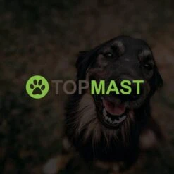 Merkloos Topmast Premium Puppyren - 120 Cm Hoog - 640 Cm Omtrek - Hondenren - Hondenhok - Zwart -Huisdierbenodigdheden 1200x1200 427