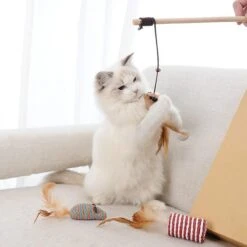 GIZMO Luxe Kattenspeeltjes Set - 7 Speeltjes - Interactieve Kattenhengel, Kattenspeelgoed & Speelmuisjes - Kitten Speeltjes 21 GIZMO Luxe Kattenspeeltjes Set - 7 Speeltjes - Interactieve Kattenhengel, Kattenspeelgoed & Speelmuisjes - Kitten Speeltjes -Huisdierbenodigdheden 1200x1200 450