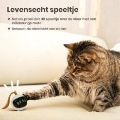 Otiume Interactieve Speelbal - Slimme Interactieve Jaag Speeltje Voor Katten - Kattenspeeltjes - Intelligente Jaagbal - AI -USB Oplaadbaar - LED - Blauw 14 Otiume Interactieve Speelbal - Slimme Interactieve Jaag Speeltje Voor Katten - Kattenspeeltjes - Intelligente Jaagbal - AI -USB Oplaadbaar - LED - Blauw -Huisdierbenodigdheden 1200x1200 579