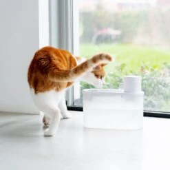 Hoopo® Agua - DRAADLOZE Waterfontein Katten - SMART Waterfontein Katten - UVC Disinfectie - 2 Liter - Automatische Katten Fontein -Huisdierbenodigdheden 1200x1200 593