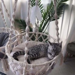 Bonbox Shop - Macrame Hangmat Voor Katten En Kittens - Kattenhammock - Hangmand -Huisdierbenodigdheden 1200x1200 599