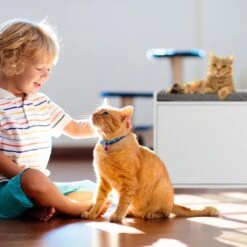 Relaxdays Kattenbak Ombouw - Met Zitkussen - Kattenhuis Wit - Kattenmeubel - Kattenkast 15 Relaxdays Kattenbak Ombouw - Met Zitkussen - Kattenhuis Wit - Kattenmeubel - Kattenkast -Huisdierbenodigdheden 1200x1200 610