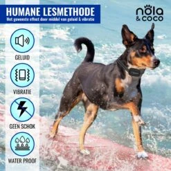 Nola & Coco® Oplaadbare Anti Blafband - 4 Kleuren - Zonder Schok - Waterdichte Diervriendelijke Blaf Halsband - Opvoedingshalsband - Voor Grote En Kleine Honden - Lichte Vibratie En Geluid - 3 Tot 60kg 12 Nola & Coco® Oplaadbare Anti Blafband - 4 Kleuren - Zonder Schok - Waterdichte Diervriendelijke Blaf Halsband - Opvoedingshalsband - Voor Grote En Kleine Honden - Lichte Vibratie En Geluid - 3 Tot 60kg -Huisdierbenodigdheden 1200x1200 75