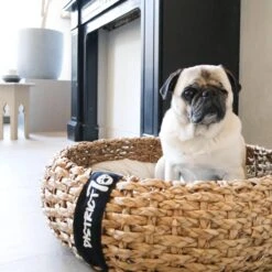District 70 COCOON - Luxe Hondenmand Van Duurzaam Hoogwaardig Riet Met Zacht Kussen - Maten S/M/L - Large 23 District 70 COCOON - Luxe Hondenmand Van Duurzaam Hoogwaardig Riet Met Zacht Kussen - Maten S/M/L - Large -Huisdierbenodigdheden 1200x1200 96