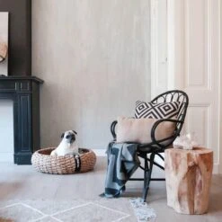 District 70 COCOON - Luxe Hondenmand Van Duurzaam Hoogwaardig Riet Met Zacht Kussen - Maten S/M/L - Large 24 District 70 COCOON - Luxe Hondenmand Van Duurzaam Hoogwaardig Riet Met Zacht Kussen - Maten S/M/L - Large -Huisdierbenodigdheden 1200x1200 97