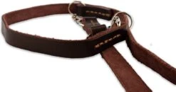 Multifunctionele Hondenriem - 220cm - Bruin - Leren Hondenriem - 100% Volnerfleer - Hondenriem Leer - Leiband Hond 16 Multifunctionele Hondenriem - 220cm - Bruin - Leren Hondenriem - 100% Volnerfleer - Hondenriem Leer - Leiband Hond -Huisdierbenodigdheden 1200x631