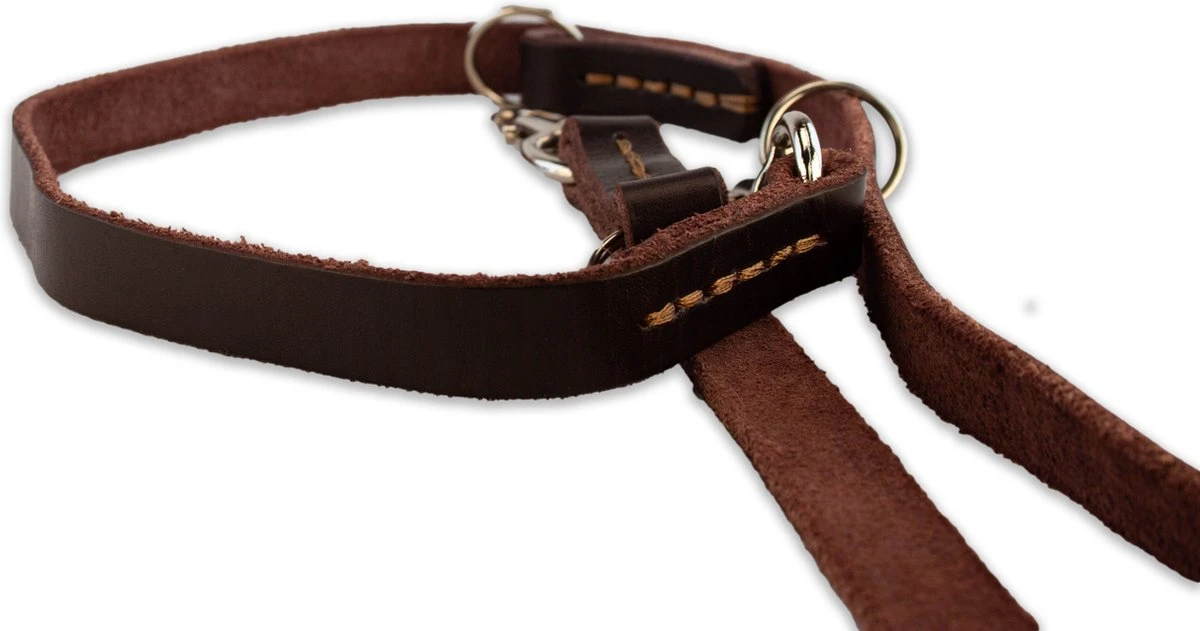 Multifunctionele Hondenriem - 220cm - Bruin - Leren Hondenriem - 100% Volnerfleer - Hondenriem Leer - Leiband Hond 7 Multifunctionele Hondenriem - 220cm - Bruin - Leren Hondenriem - 100% Volnerfleer - Hondenriem Leer - Leiband Hond - Afbeelding 5