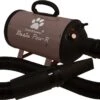 Tools-2-Groom Waterblazer Basic Paw-R 2200 Watt 2 Tools-2-Groom Waterblazer Basic Paw-R 2200 Watt -Huisdierbenodigdheden 1200x693 1