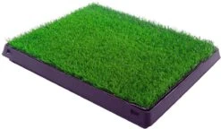 Merkloos Maoo Premium Hondentoilet - Geurbestendig & Hondvriendelijk Kunstgras - Uitneembare Opvangbak - Indoor En Outdoor - 63 X 50 Cm 11 Merkloos Maoo Premium Hondentoilet - Geurbestendig & Hondvriendelijk Kunstgras - Uitneembare Opvangbak - Indoor En Outdoor - 63 X 50 Cm -Huisdierbenodigdheden 1200x698