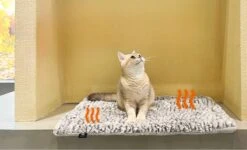 Merkloos Zelfverwarmende Dierendeken Zonder Stroom Thermo Deken Hond Kat Inclusief Adreslabel 70 X 47 Cm 18 Merkloos Zelfverwarmende Dierendeken Zonder Stroom Thermo Deken Hond Kat Inclusief Adreslabel 70 X 47 Cm -Huisdierbenodigdheden 1200x730