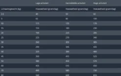 Prins Procare Senior - 15 KG -Huisdierbenodigdheden 1200x759