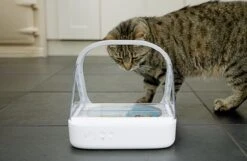 Surefeed Microchip Pet Feeder - Voerbak - 30 X 23 X 22 Cm -Huisdierbenodigdheden 1200x780 3