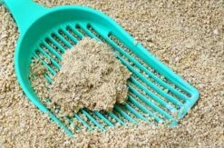 Huisdierbenodigdheden -Huisdierbenodigdheden 1200x790 2