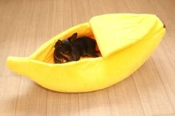N/A Kattenhuis Banaan L - Hondenhuis Banaan L - 65x25x18 Cm - Kattenmand - Hondenmand - Dierenmand - Cadeau Kat 10 N/A Kattenhuis Banaan L - Hondenhuis Banaan L - 65x25x18 Cm - Kattenmand - Hondenmand - Dierenmand - Cadeau Kat -Huisdierbenodigdheden 1200x799 10