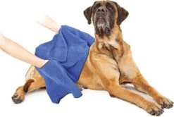 Duvo+ Hondenhanddoek 70 X 100 Cm 11 Duvo+ Hondenhanddoek 70 X 100 Cm -Huisdierbenodigdheden 1200x808