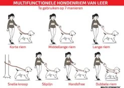 Multifunctionele Hondenriem - 220cm - Bruin - Leren Hondenriem - 100% Volnerfleer - Hondenriem Leer - Leiband Hond 15 Multifunctionele Hondenriem - 220cm - Bruin - Leren Hondenriem - 100% Volnerfleer - Hondenriem Leer - Leiband Hond -Huisdierbenodigdheden 1200x853