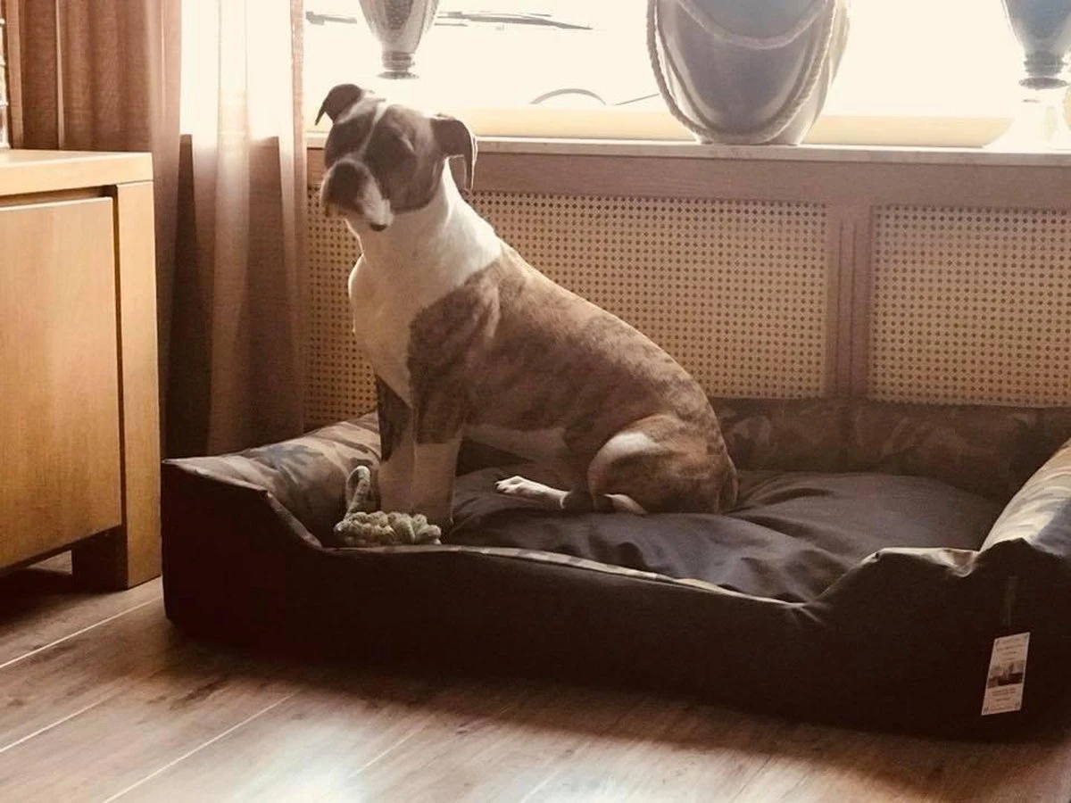 Hondenmand Cordura XXXL – Donkergrijs - 125 X 90 X 24 Cm 8 Hondenmand Cordura XXXL – Donkergrijs - 125 X 90 X 24 Cm - Afbeelding 6