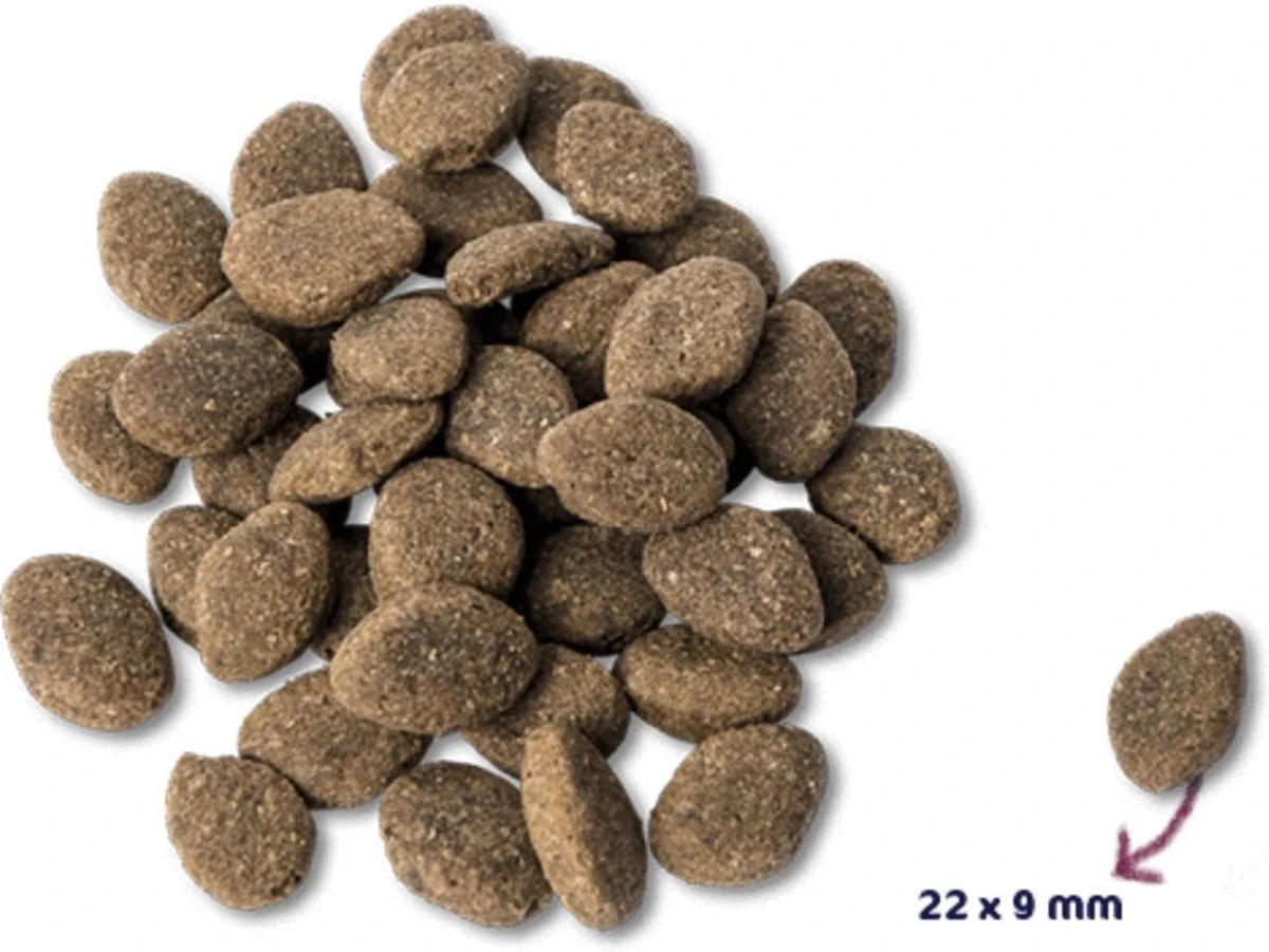 Renske Super Premium Adult Lam Graanvrij 12 KG 4 Renske Super Premium Adult Lam Graanvrij 12 KG - Afbeelding 2