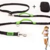 Filo Elastische Hondenriem Middel - Hardlopen En Wandelen - Hardloopriem Hond Handsfree Met Heuptasje - Looplijn Met Heupriem - Canicross Gordel Honden - Riemen - Heupgordel - Leiband 1 Filo Elastische Hondenriem Middel - Hardlopen En Wandelen - Hardloopriem Hond Handsfree Met Heuptasje - Looplijn Met Heupriem - Canicross Gordel Honden - Riemen - Heupgordel - Leiband -Huisdierbenodigdheden 1200x908