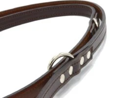 Verstelbare Trainingslijn Leer - 2 Meter - Bruin - Politielijn - Hondenriem - Hoge Kwaliteit Leer - Trainingslijn - Ambachtelijk Gemaakt In Portugal 10 Verstelbare Trainingslijn Leer - 2 Meter - Bruin - Politielijn - Hondenriem - Hoge Kwaliteit Leer - Trainingslijn - Ambachtelijk Gemaakt In Portugal -Huisdierbenodigdheden 1200x975